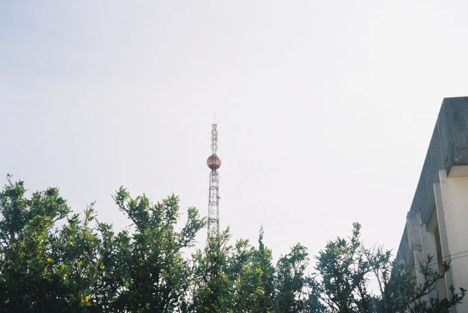 福州开业庆典策划全流程解析：从方案设计到现场执行的要点把控