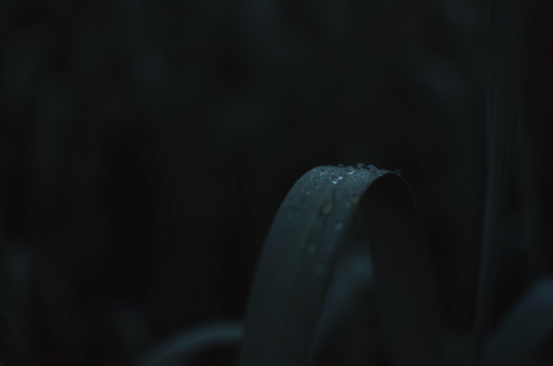 福州开业庆典策划全流程详解:从场地布置到仪式执行的规范标准